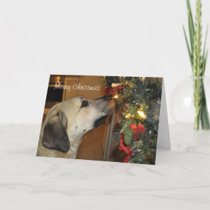 Tarjeta de Navidad del kilo de Nowzad