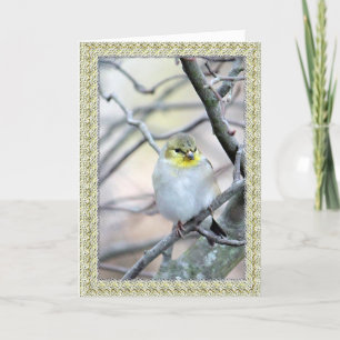 Tarjeta de Navidad del marco del Goldfinch 3898