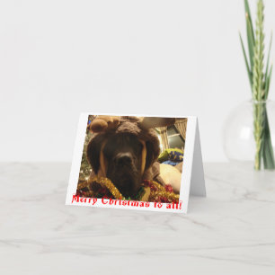 Tarjeta de Navidad del mastín