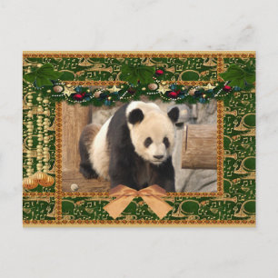 Tarjeta de Navidad del oso de panda gigante y de
