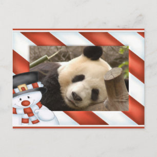 Tarjeta de Navidad del oso de panda gigante y de