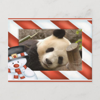 Tarjeta de Navidad del oso de panda gigante y de