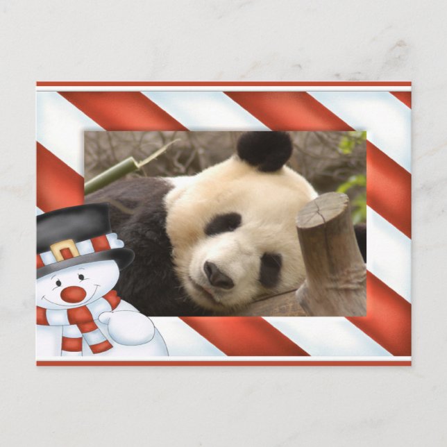 Tarjeta de Navidad del oso de panda gigante y de (Anverso)