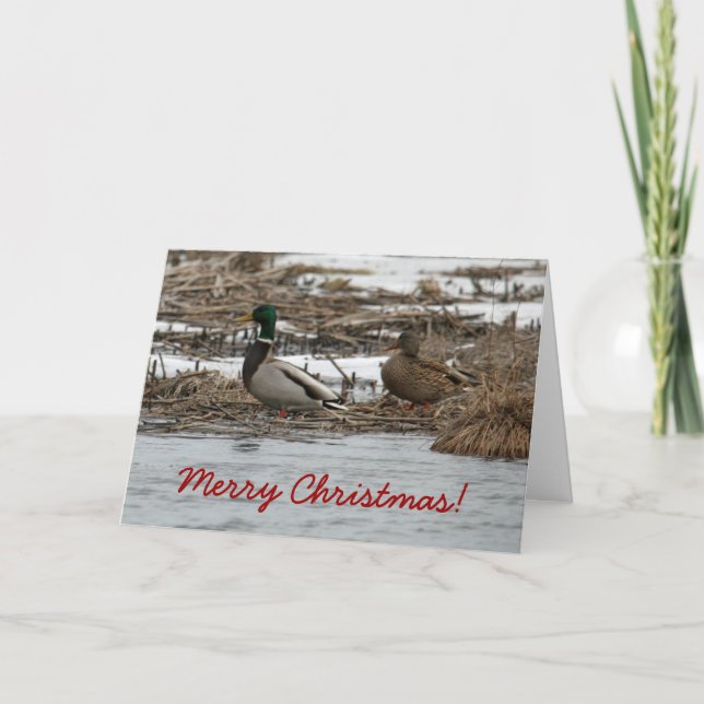 Tarjeta de Navidad del pato del pato silvestre (Anverso)