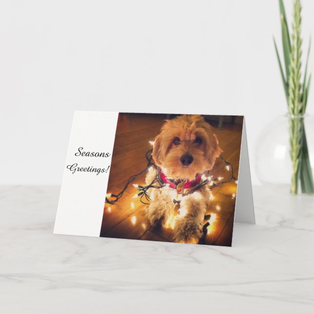 Tarjeta de Navidad del perrito de Cockapoo (Anverso)