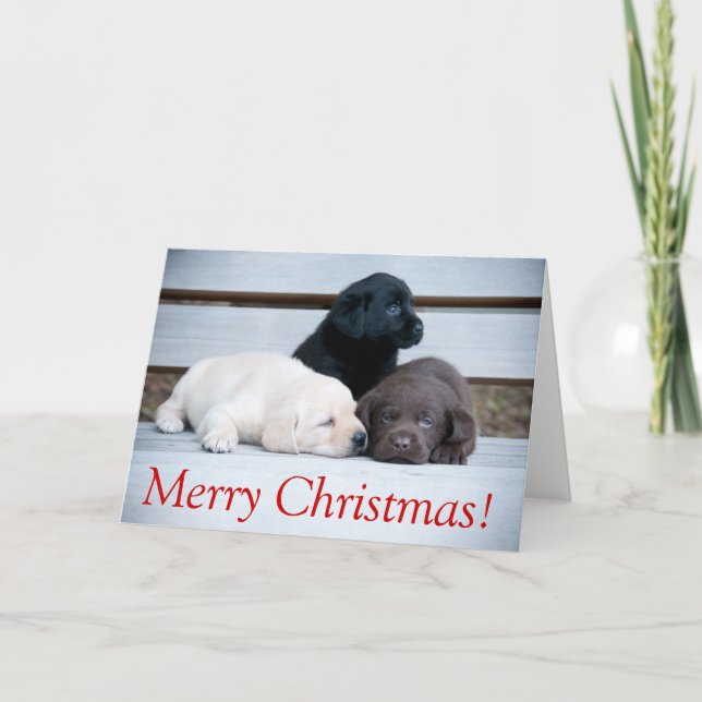 Tarjeta de Navidad del perrito de Karemy (Anverso)