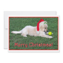 Tarjeta de Navidad del perrito del golden
