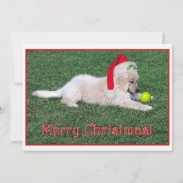 Tarjeta de Navidad del perrito del golden