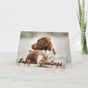 Tarjeta de Navidad del perrito del perro de aguas