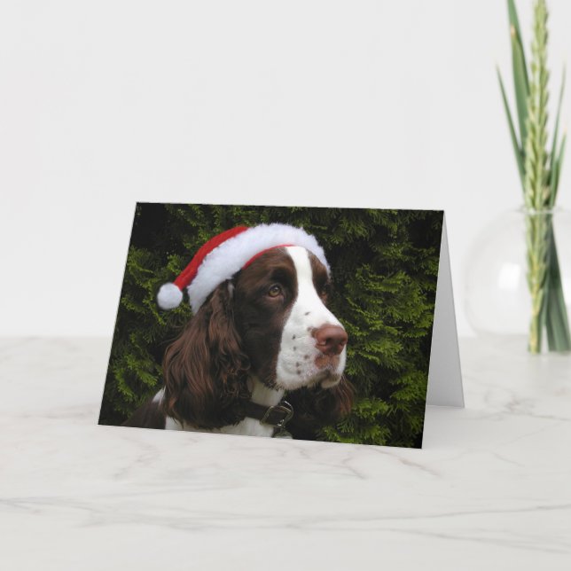 Tarjeta de Navidad del perro de aguas de saltador (Anverso)