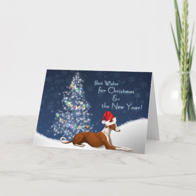 Tarjeta de Navidad del perro de Ibizan (Anverso)