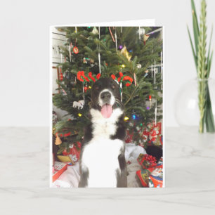 Tarjeta de Navidad del perro de las astas del reno