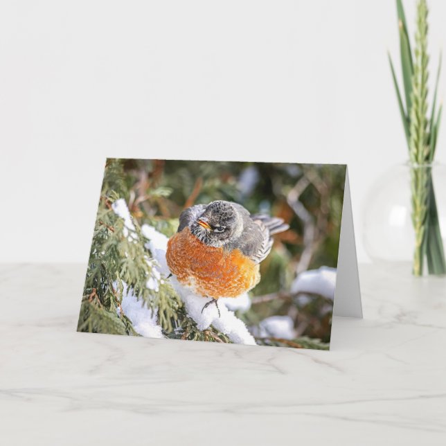 Tarjeta de Navidad del Petirrojo de Invierno (Anverso)
