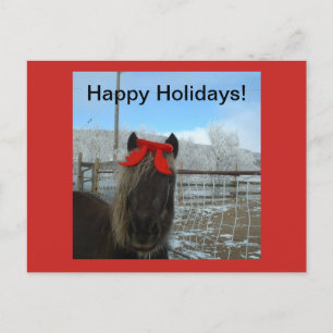 Tarjeta de Navidad del potro de Shetland