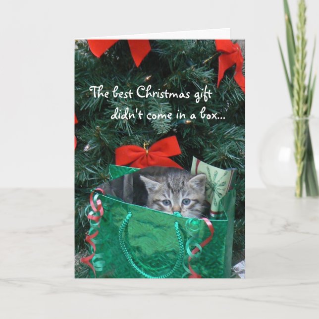 Tarjeta de Navidad del regalo del gatito (Anverso)