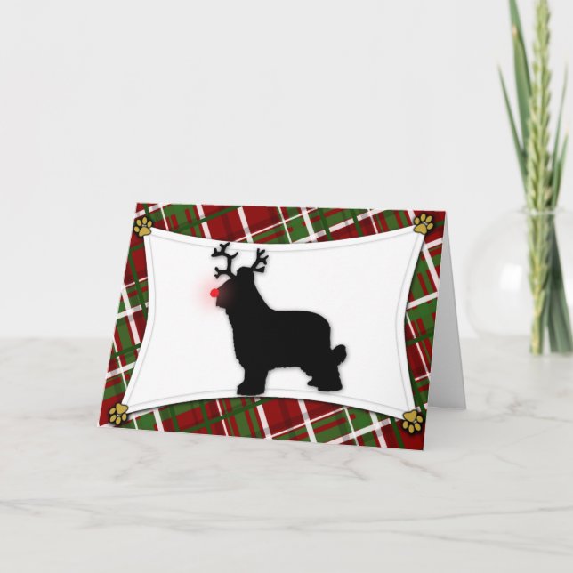 Tarjeta de Navidad del reno de Briard (Anverso)