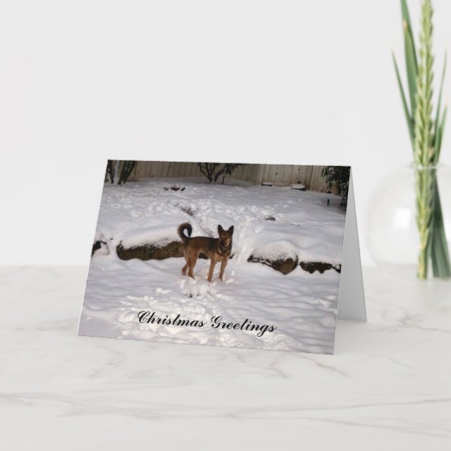 Tarjeta de Navidad del rescate de Nowzad (Anverso)