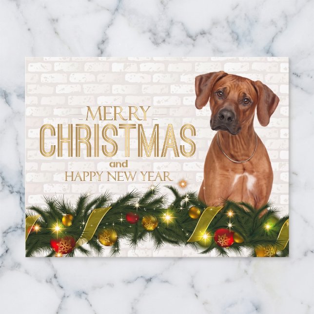 Tarjeta de Navidad del Ridgeback Rodesiano (Rhodesian Ridgebacks make the holidays bright.)