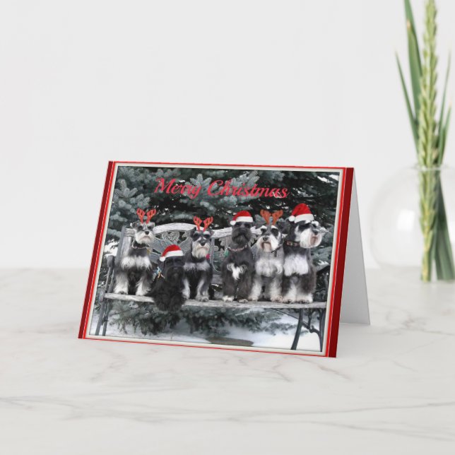 Tarjeta de Navidad del Schnauzer (Anverso)