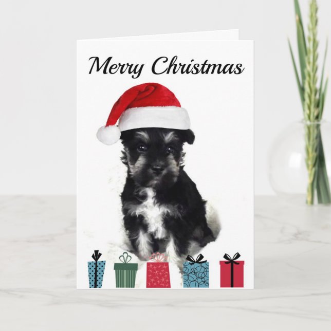 Tarjeta de Navidad del Schnauzer (Anverso)