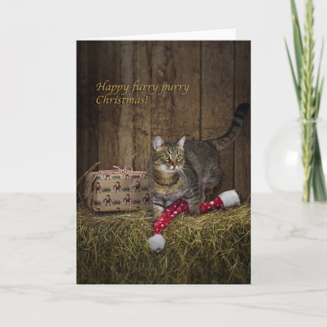 Tarjeta de Navidad del Tabby (Anverso)