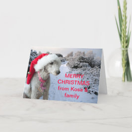 Tarjeta de Navidad del terrier de Bedlington