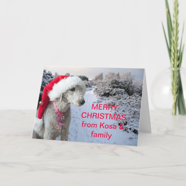 Tarjeta de Navidad del terrier de Bedlington (Anverso)