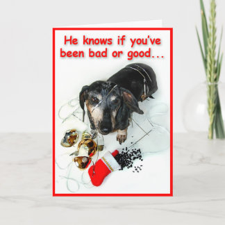 Tarjeta de Navidad delincuente del Dachshund