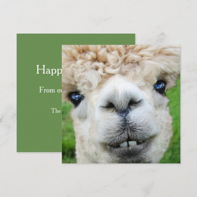 Tarjeta de Navidad divertida de la alpaca (Anverso / Reverso)