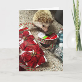 Tarjeta de Navidad divertida del erizo del día de