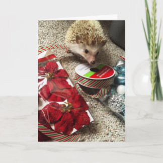 Tarjeta de Navidad divertida del erizo del día de