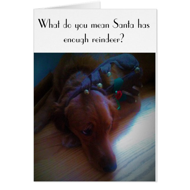 tarjeta de Navidad divertida del perro (Frente)