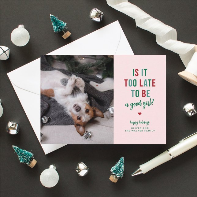 Tarjeta de Navidad divertida para una buena mascot (dog owner Christmas cards with funny sayings)