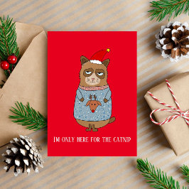 Tarjeta de Navidad divertida y sarcástica de gato