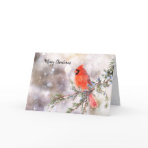Tarjeta de Navidad doblada de Cardenal Rojo
