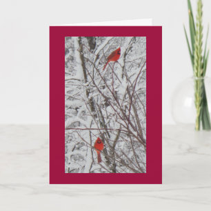 Tarjeta de Navidad dos de los cardenales roja de