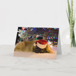 Tarjeta de Navidad el dormir Leonberger