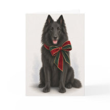 Tarjeta de Navidad elegante del perro pastor belga