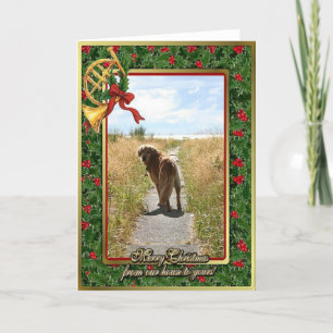 Tarjeta de Navidad en blanco del golden retriever