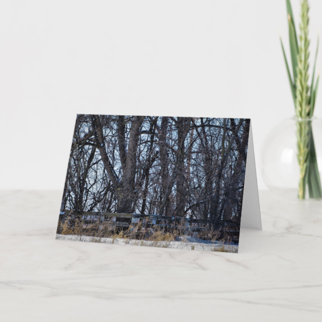 Tarjeta de Navidad "En el Camino de la Memoria" (Anverso)