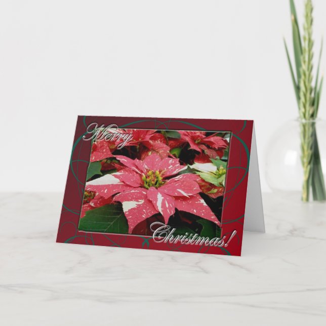 Tarjeta de Navidad Feliz de Poinsettia (Anverso)