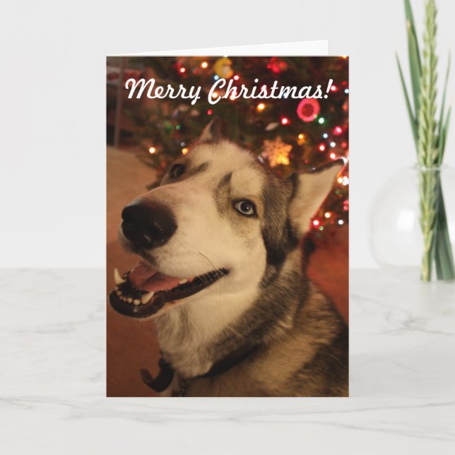 Tarjeta de Navidad feliz del husky siberiano (Anverso)