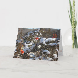 Tarjeta de Navidad "Flores de Invierno"