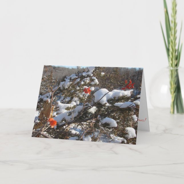 Tarjeta de Navidad "Flores de Invierno" (Anverso)