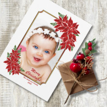 Tarjeta de Navidad Foto Poinsettia Roja Borde Blan