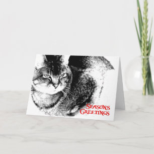 Tarjeta de Navidad - gato del Mitad-Birmano