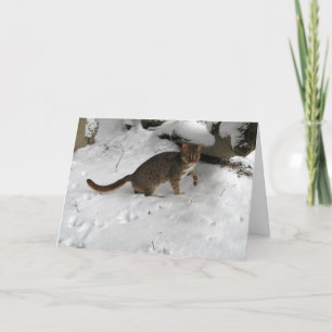 Tarjeta de Navidad - gato manchado oxidado 2