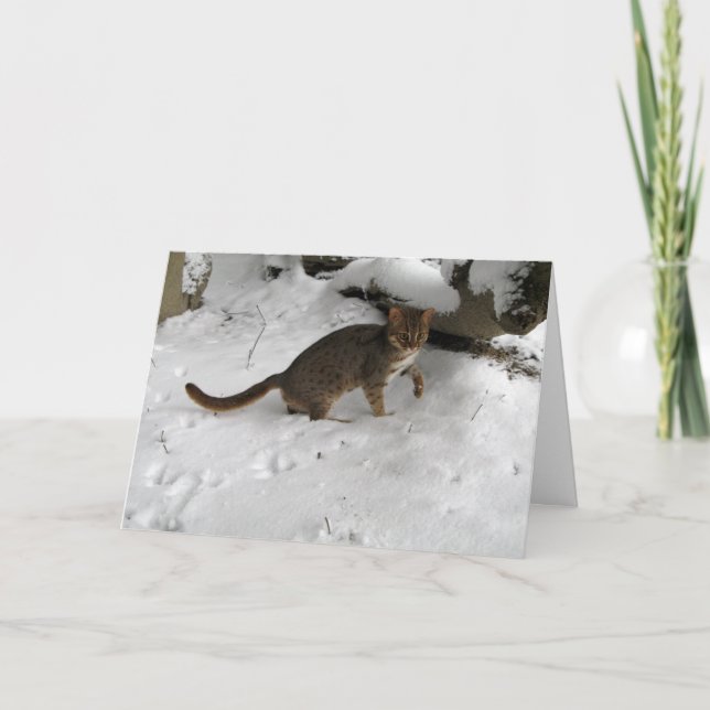 Tarjeta de Navidad - gato manchado oxidado 2 (Anverso)