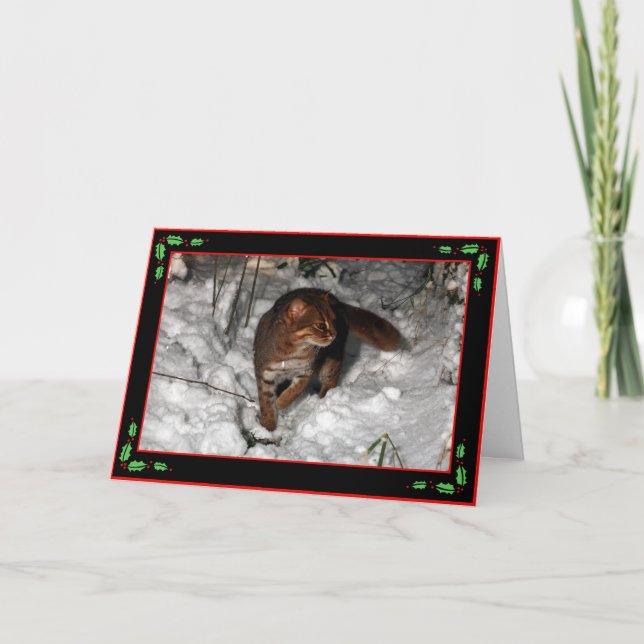 Tarjeta de Navidad - gato manchado oxidado (negro) (Anverso)