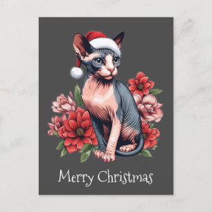 Tarjeta de navidad   Gato Sphynx con sombrero Sant